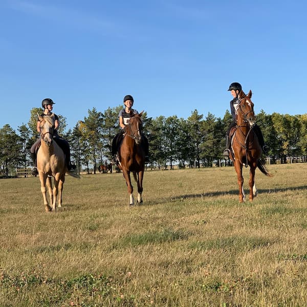 119233962_337822937458636_8503220928372753615_n